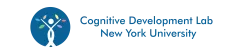 New York University